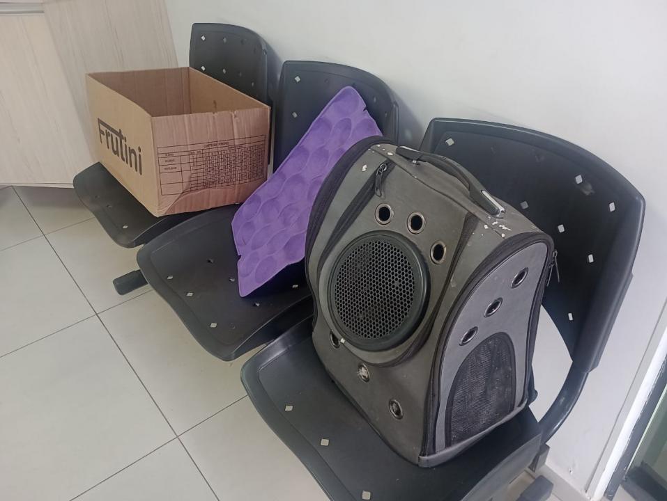 Foto 5 de 6 — VÍDEO: Dupla é detida pelo TOR após ser flagrada transportando 4 macacos-prego na SP-310 em Araraquara
